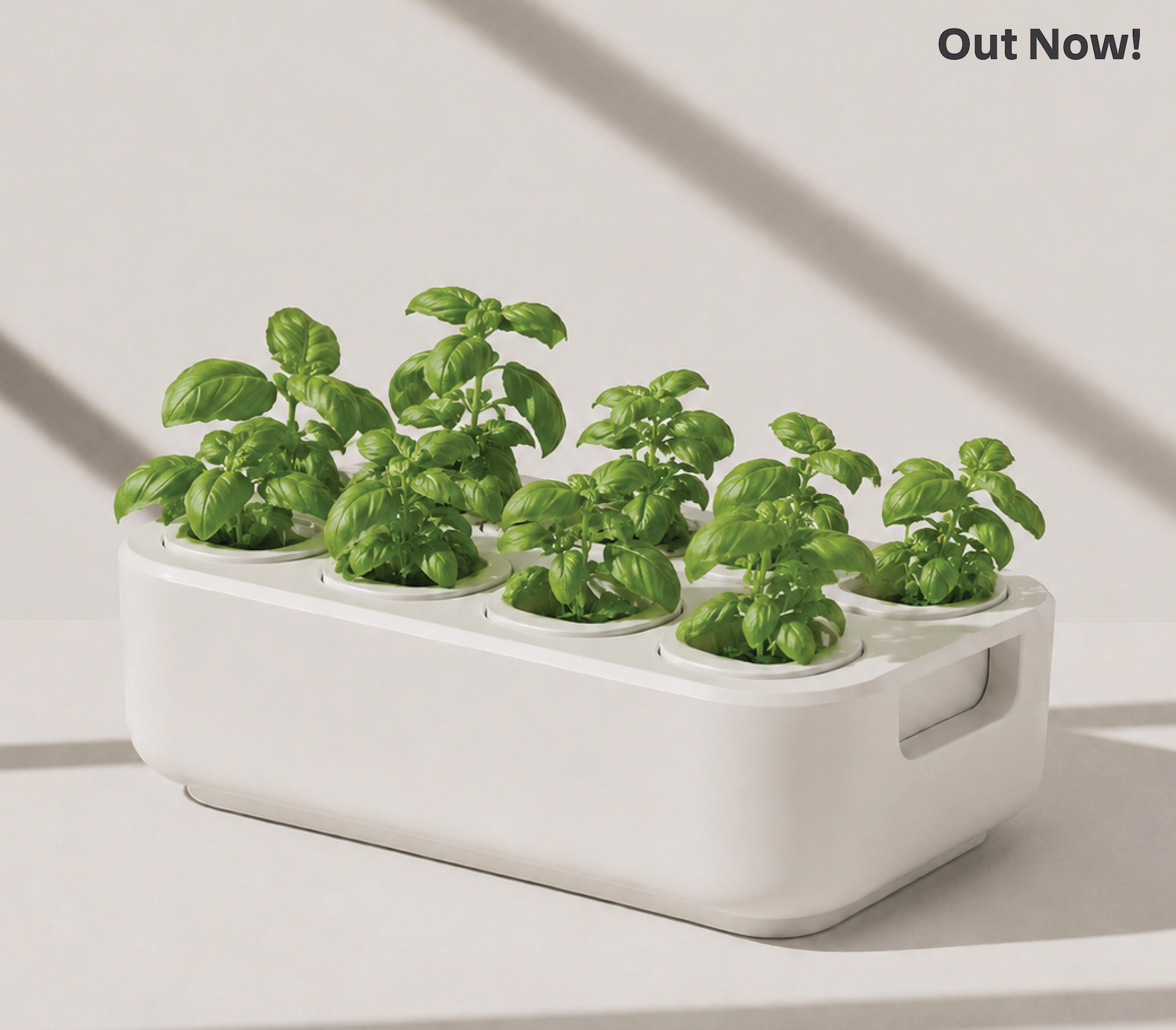 The Seed Starter